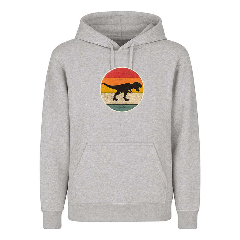 Sudadera Dinosaurio Retro Silueta Vintage Para Fans Infantil