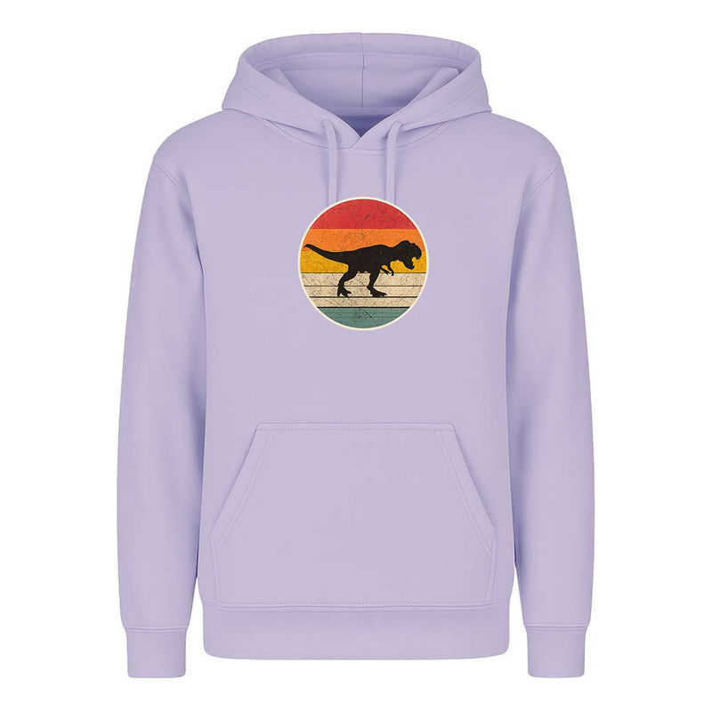 Sudadera Dinosaurio Retro Silueta Vintage Para Fans Unisex