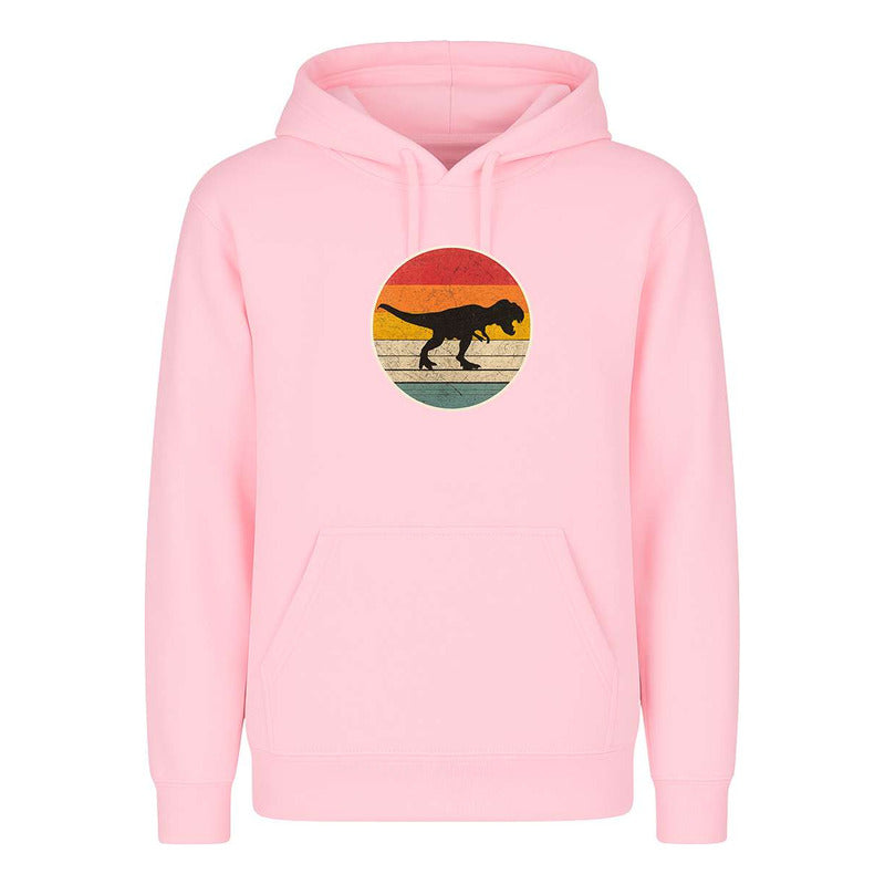 Sudadera Dinosaurio Retro Silueta Vintage Para Fans Unisex